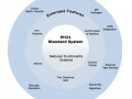 software3