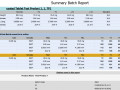ReportTool1
